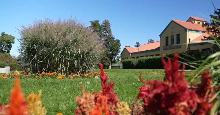 Denver Department of Parks & Recreation outlines $11 million in budget cuts for 2026 amid city's shortfall