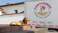Promueven Caravanas Itinerantes por el cuidado y bienestar animal en Edoméx