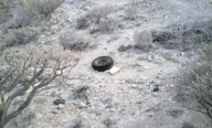 Denuncian la “dejadez institucional, explotación turística y destrucción” del patrimonio guanche en Arico