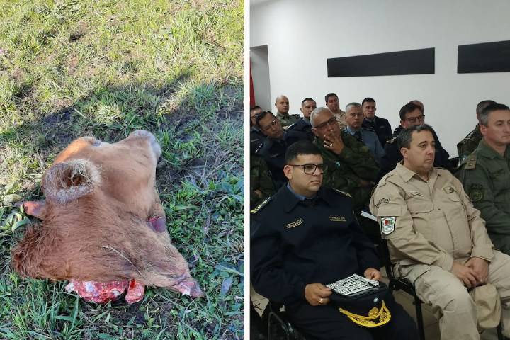 Crearon una mesa de fuerzas de seguridad por los robos en una zona fronteriza y alertan por miles de hectáreas abandonadas
