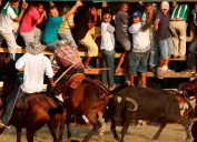 A Caucasia y otros cinco municipios de Antioquia se les acabó la guachafita con las corralejas: se acabarán por decisión de la Corte
