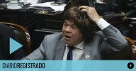 El peronista Leiva se puso una peluca para rechazar el veto de Milei y armó un show en el recinto