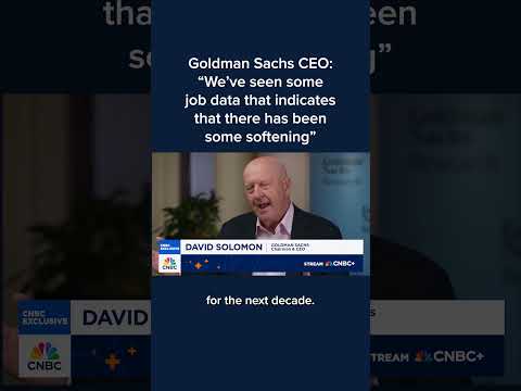 Goldman Sachs CEO: 'We've seen some job data that indicates that there has been some softening'