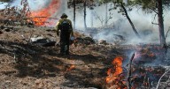 BLM to conduct prescribed burn in Weston County this fall
