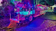 Bright Nights organizers forced to find new location for fundraiser