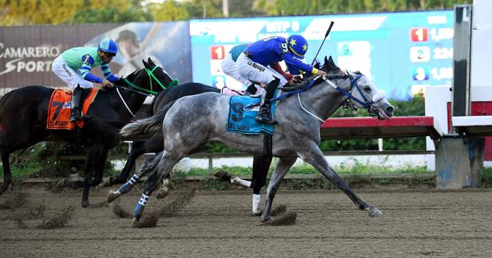Se impone El Cura en el clásico Puerto Rico Futurity