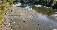 Agency of Natural Resources asks Vermonters to report drought conditions