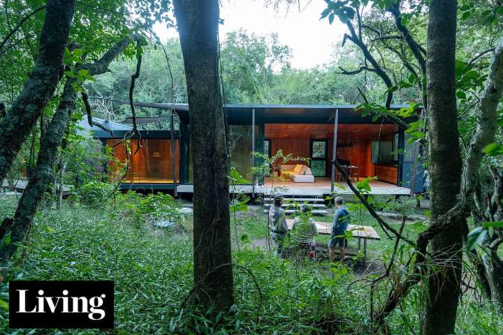 Parte del bosque. Una pareja construyó su "hogar definitivo" en las Sierras Chicas de Córdoba