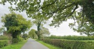 Girl, 2, injured and driver arrested after Audi swerves off road and ploughs into tree