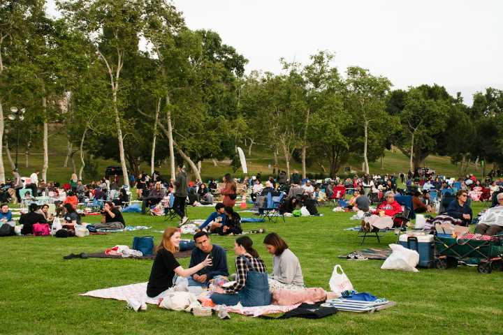 Free Things to Do: Movie Screenings and Beach Talks