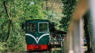 Descubrí el mágico tren de Misiones que atraviesa el corazón de la selva