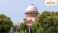 ‘We are more like a matrimonial and bail court now, soon will become...’: SC