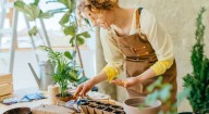 Seed saving guide — how to harvest, dry, and store seeds from your garden
