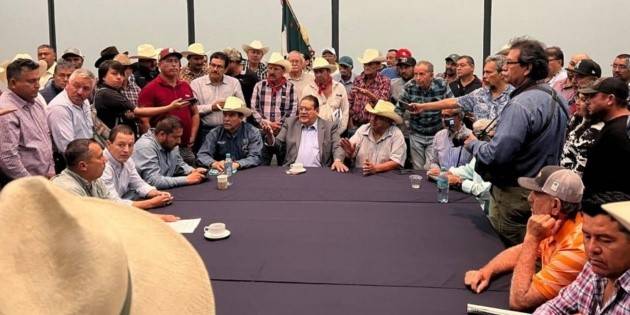 Productores de maíz piden rescate del gobierno federal por caída en el precio