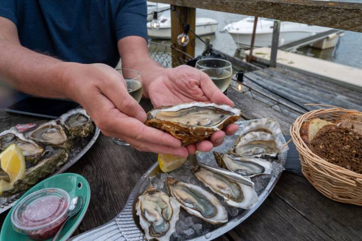 Gulf Coast Faces Unprecedented Vibrio Vulnificus Outbreak