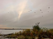N.Y. weather: Gusty winds and cool temperatures to impact NYC