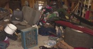 After 4 dead infants found in Armstrong County home, landlord describes house of horrors