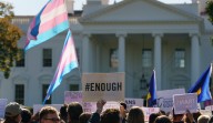 Banning transgender people from gun ownership won't work