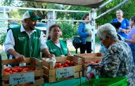 Acuden cientos a edición del Mercadito Mejora