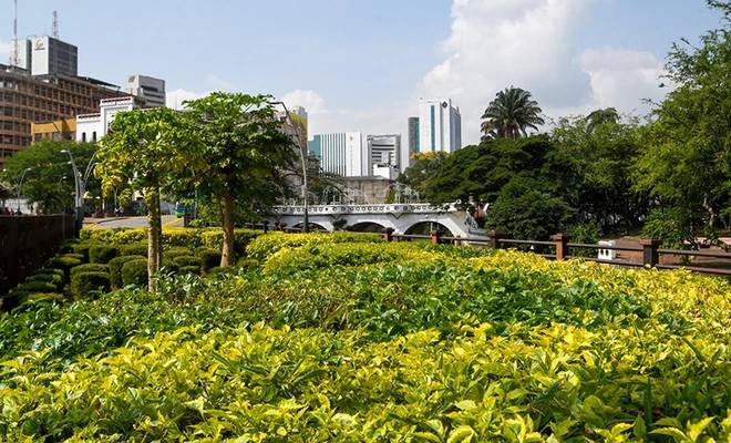 Cali lanza Plan Maestro de Sostenibilidad para liderar la descarbonización y la protección de su biodiversidad