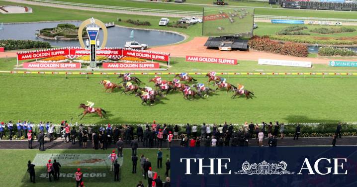 Racing NSW takes action as Australian Turf Club saddled with $30m CBA loan