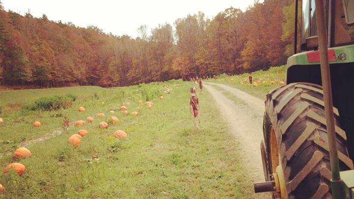 2025 fall activities: Pumpkin patches, corn mazes, apple picking