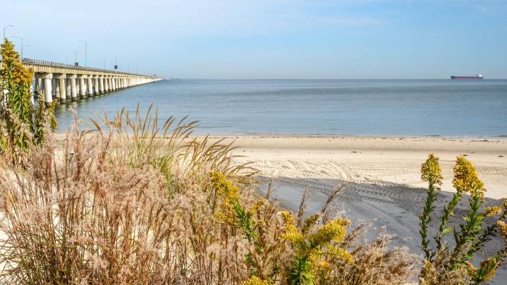 Virginia leaders urged to act on Chesapeake Bay's water pollution