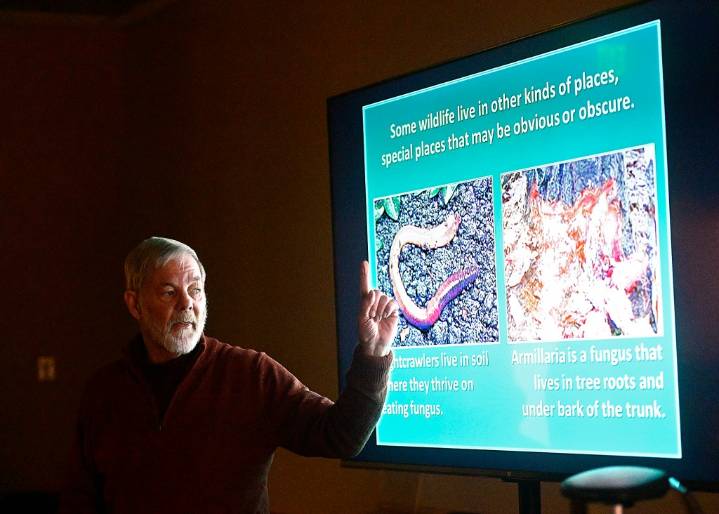 Things to do in the Loveland area Sept. 3: Nature Talk with Kevin; Civics and Voting 101