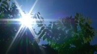 Altas temperaturas y tormentas eléctricas en el Bay Area
