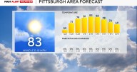 There's nothing more than an isolated chance for rain over the next week in the Pittsburgh area
