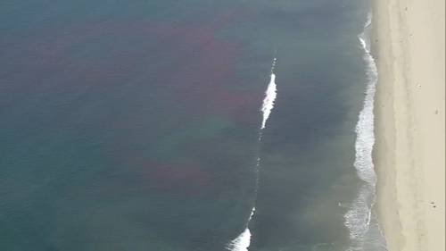 Why was the ocean near Santa Monica Pier dyed pink? Scientists are studying water circulation, currents and the breakwater