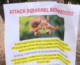 ‘Very mean squirrel’ in Marin County sends at least 2 to ER