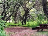Woman dies after being pinned between camper and truck at U.P. campground
