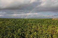 Farm Aid turns 40 and returns to crisis mode