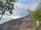 Incendios forestales afectaron ocho municipios del Tolima durante el fin de semana: 154 hectáreas afectadas