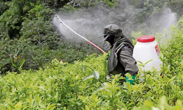 Estos son los 35 plaguicidas prohibidos por decreto presidencial; algunos aún se comercializan y usan en el campo