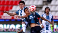 Sorpresa de Gallos Blancos