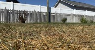 Dry August raises drought concerns for Ohio farmers, ecosystems