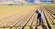 More than half of Northwest in severe drought and historic dry period