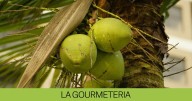 Coco germinado o manzana de coco: una delicia crujiente que no te esperas
