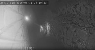 Hamilton police investigating hate-motivated graffiti