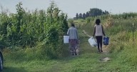 Lawmakers visit Rochester farm specializing in African produce