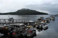 4.8 magnitude earthquake off Bella Bella, B.C., no damage expected