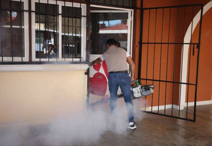 Repunta reproducción de dengue y zika por lluvias en Q. Roo