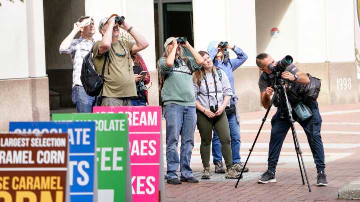 Tips and tricks to make urban birding easier in Indiana