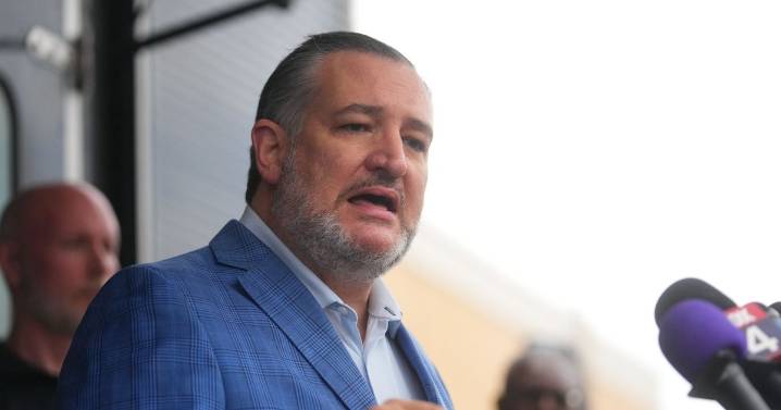 Senator Ted Cruz says politicians 'inspire mad men to commit evil crimes' after ICE facility attack