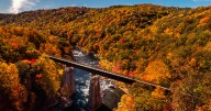 Laurel Highlands voted nation's 4th best destination for fall foliage