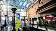 Woman charged following alleged Sydney restaurant assault, leaving victim ‘scratched several times’