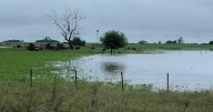 “Los campos planos están muy complicados”: excesos hídricos en el norte bonaerense y el sur santafesino