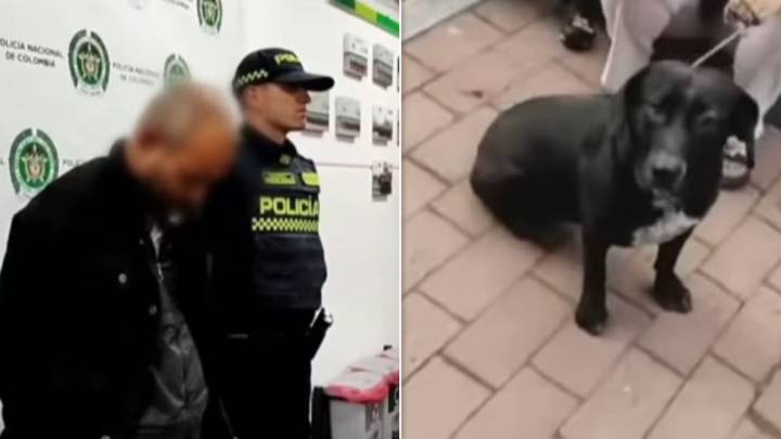 Capturan en Bogotá a hombre acusado de robar y abusar sexualmente de mascotas